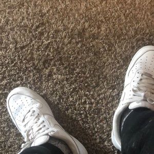 Meet your Posher, Darren